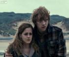 Hermione Granger ve Ron Weasley